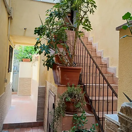 Aci House *